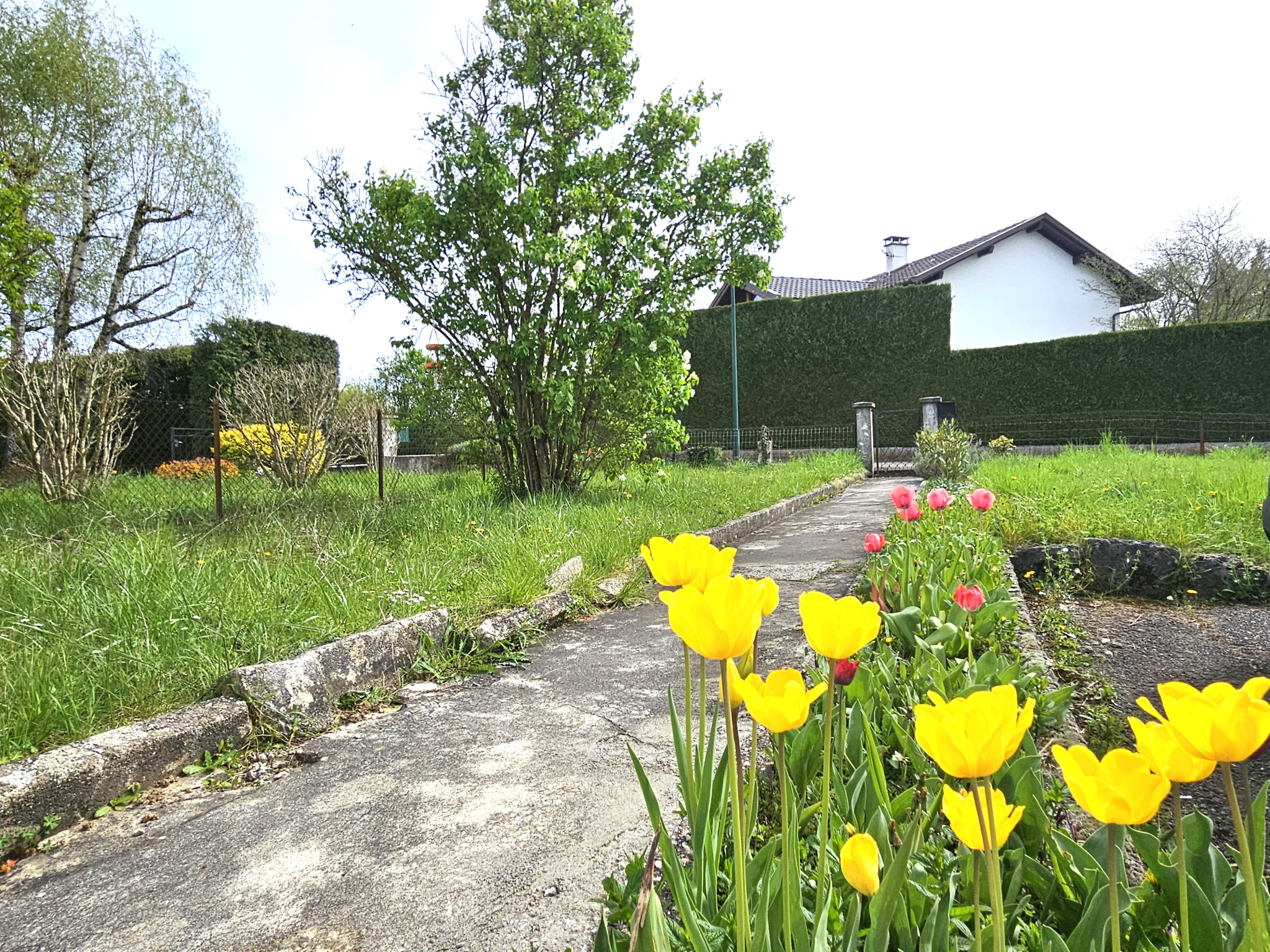 Maison individuelle de 204m2, terrain 2543m2
